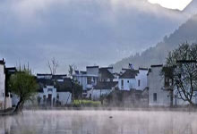 探访上海后花园千花，体验市民休闲乐趣